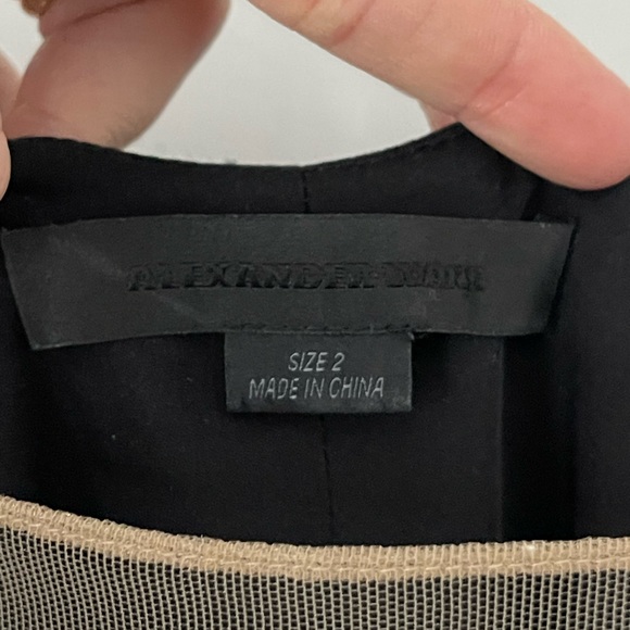 Alexander Wang V Neck Slip Dress w Sheer Insert - Picture 4 of 8